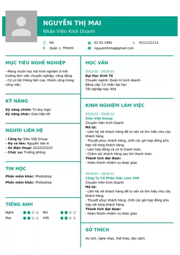 Mẫu CV/Hồ Sơ 2